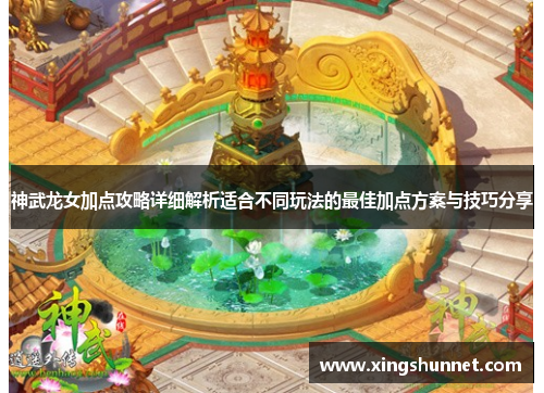 神武龙女加点攻略详细解析适合不同玩法的最佳加点方案与技巧分享